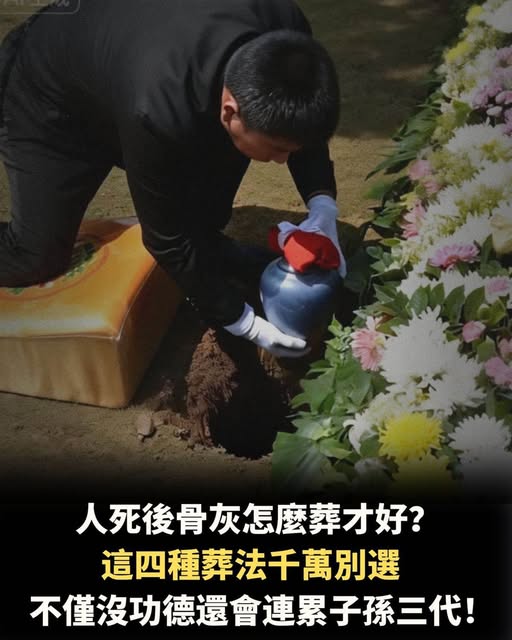 668557263_1554445132720157_7914925174509108719_n