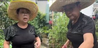 TVB肥媽積累豐厚資產,丈夫患癌離世打擊很大,晚年種菜治癒傷痛