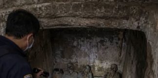 南投蓮花寺地下驚現一間密室,竟藏有7具乾尸,真相揭開驚人震驚…