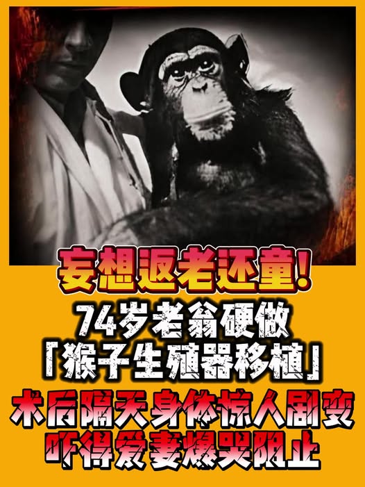 756340545_1537183383946994_2302278220114242455_n